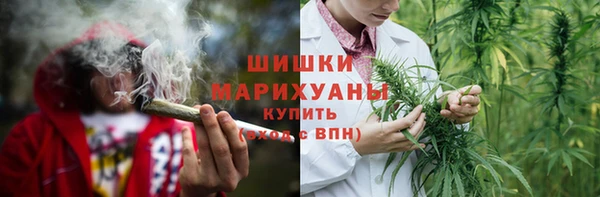гидра Аркадак