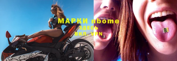 гидра Аркадак