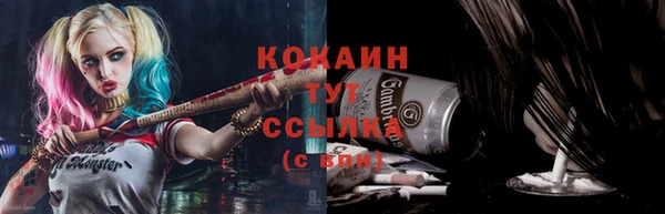 гидра Аркадак