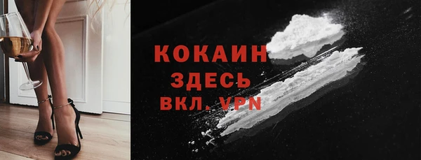 гидра Аркадак