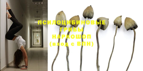 твердый Армянск