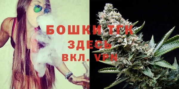 гидра Аркадак