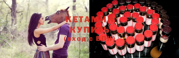 гидра Аркадак