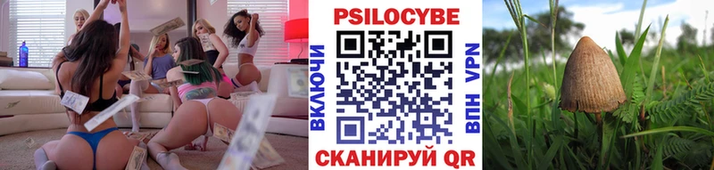 Псилоцибиновые грибы Cubensis Камбарка