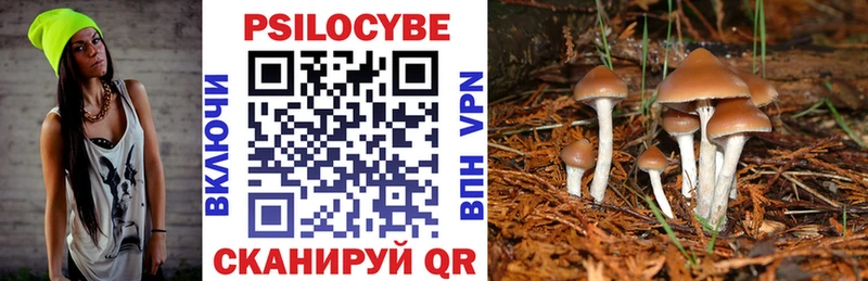 KRAKEN   купить закладку  Камбарка  Псилоцибиновые грибы ЛСД 